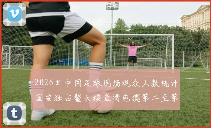 2026年中国足球现场观众人数统计国安独占鳌头梭鱼湾包揽第二至第七位