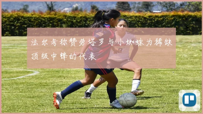 法尔考称赞劳塔罗与小蜘蛛为稀缺顶级中锋的代表